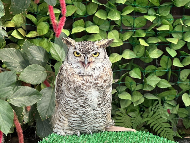 【掛川花鳥園】