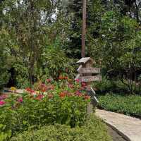 Phuean Suan Farm • Tap Ma, Rayong