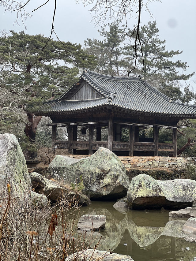 국내여행지 추천!! 전복의 성지 보길도여행+카페추천💚