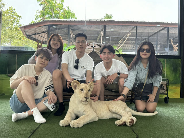 🦁 華勒比野生動物園 – 近距離接觸澳洲野生動物！ 🇦🇺✨ 
