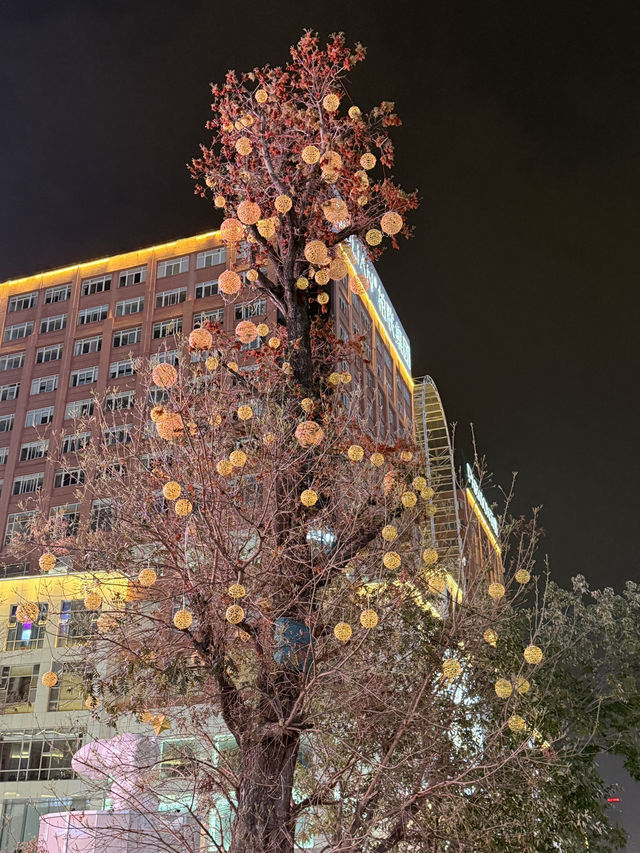 ถนนคนเดินหนานผิงเจีย