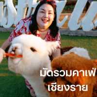มัดรวมคาเฟ่ จังหวัดเชียงราย