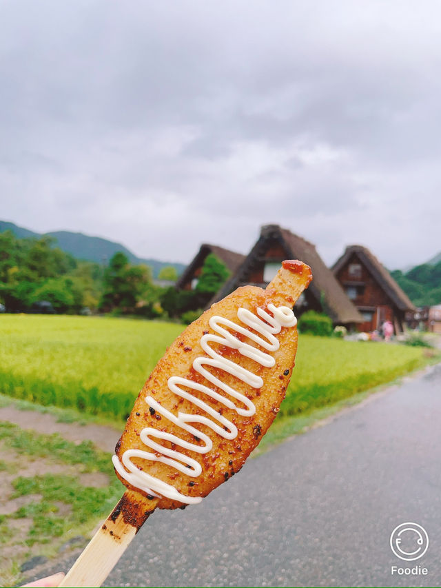 🏔飛騨高山　白川郷🏔´-