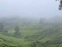 Get lost in nature’s beauty…