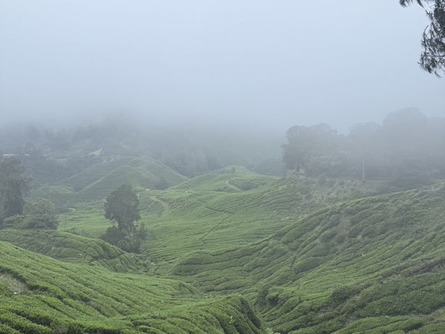 Get lost in nature’s beauty…