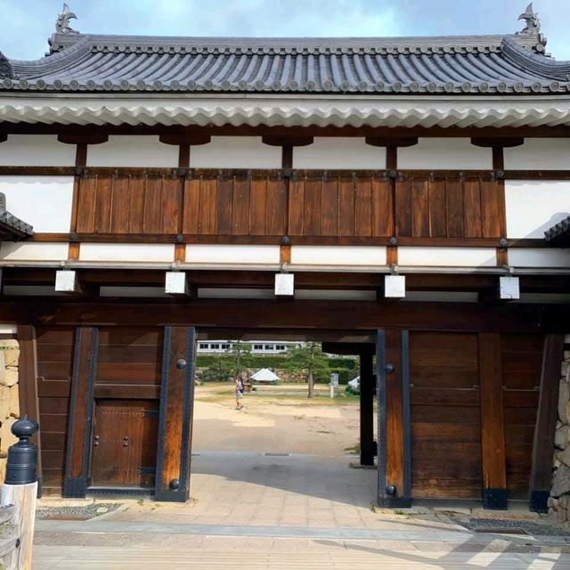 春遊廣島城，原爆毀滅後重生的鯉魚城