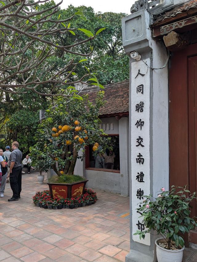 🇻🇳 Hanoi: The Old Quarter and the Captivating Street Chaos 🏮 