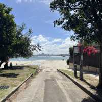 【シドニー】行くならここ行って！Rosebay watsonsbay