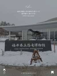 待望のリニューアル！世界的にも有名な恐竜博物館