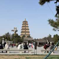 Xi’an’s Dayanta: A Lasting Impression Before Takeoff