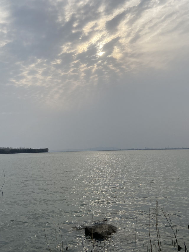 Tranquil Luxury at East Tai Lake Grand Hotel 
