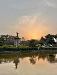 🇯🇵 名古屋最市中心最大賞櫻公園