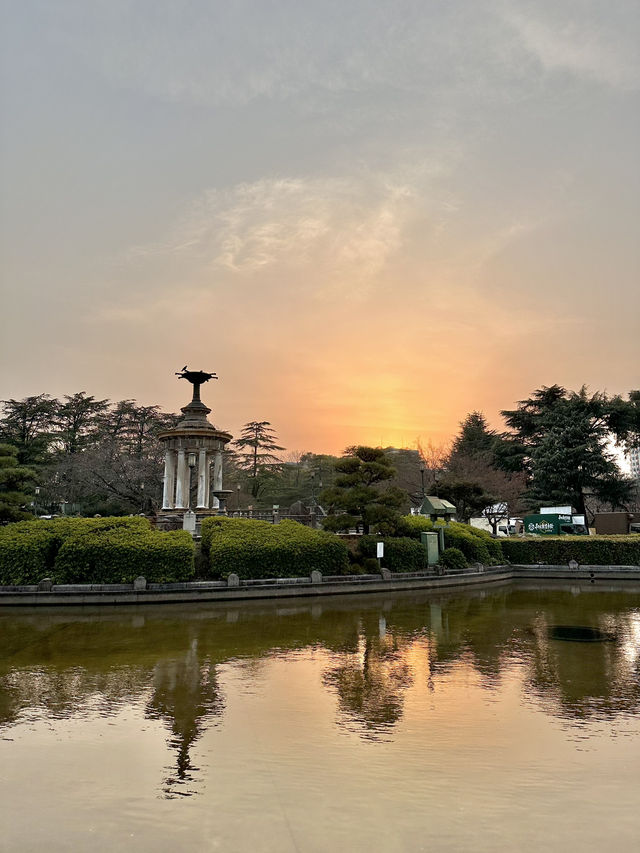 🇯🇵 名古屋最市中心最大賞櫻公園