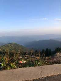 Spring in Kashmir: A love affair between nature and the soul.