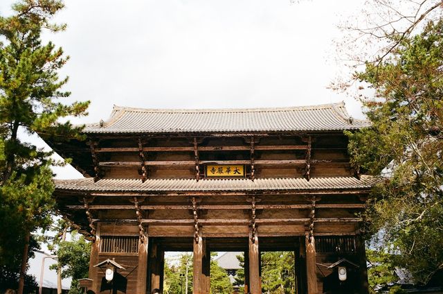 Once the Largest Wooden Structure in the World — Todaiji Temple in Nara