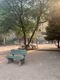 Crocodile breeding centre 