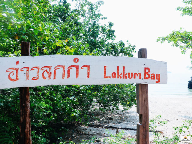 หาดลกกำ