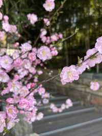 貴重な史跡の上に建つ漢中博物館