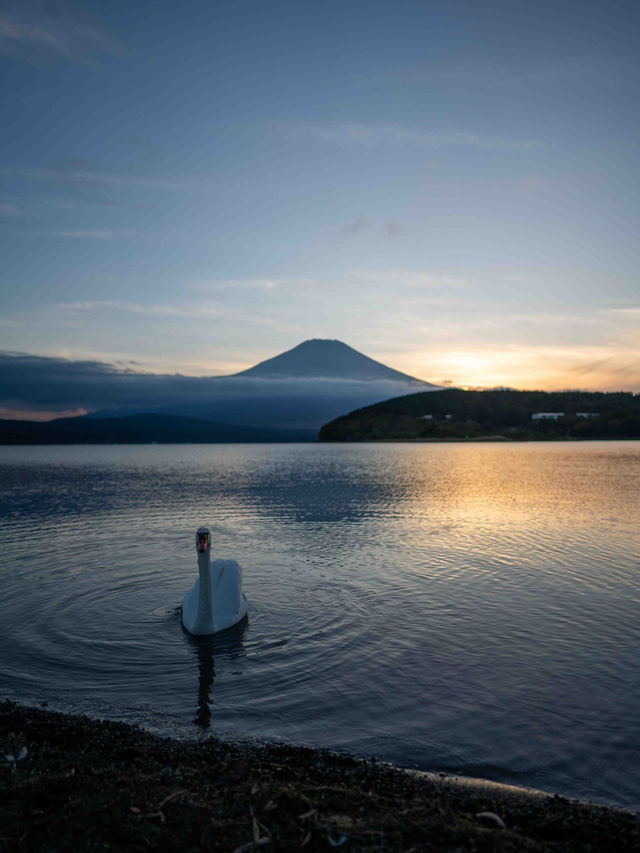 山中湖 🏞️⛵ 富士山と湖が織りなす絶景スポット