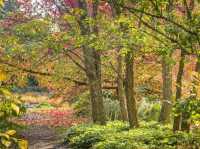 Cambridge University Botanic Garden
