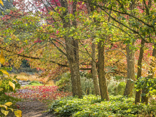 Cambridge University Botanic Garden
