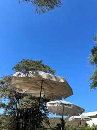 WYNN คาเฟ่ Vibes ดีย์ 🏔️⛱️