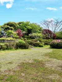 Spring Stroll at Genjiyama Park – A Hidden Gem in Kamakura 🌸