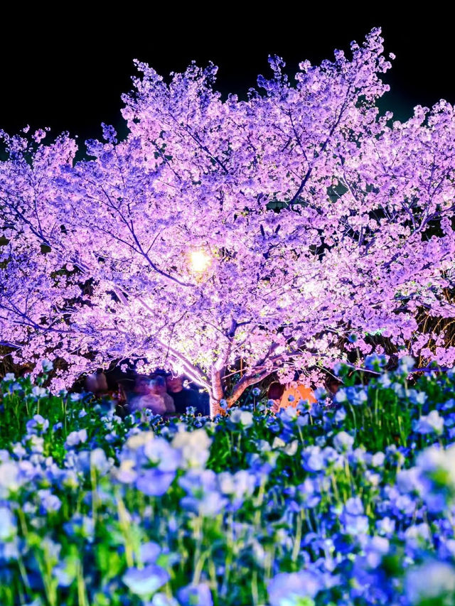 🇯🇵日本の夏限定・風鈴まつり特集🎐