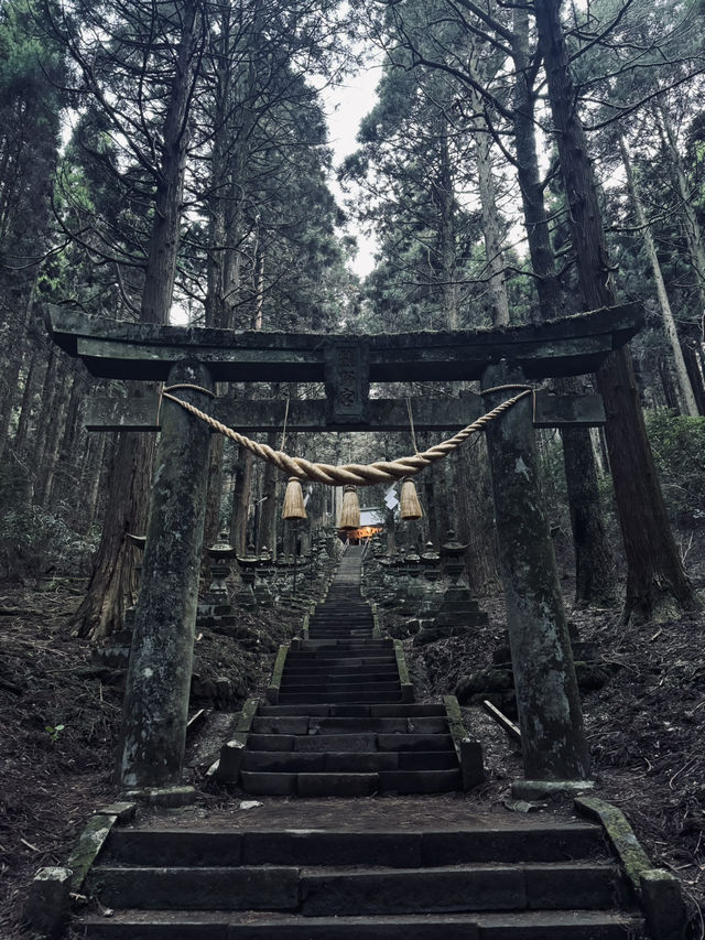 The Japan Charm
