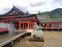 [🇯🇵広島] 厳島神社の美しい建築と歴史を巡る