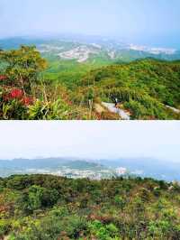 從梅沙尖到雲海公園