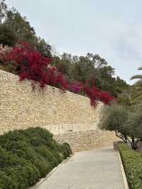 🇪🇸 Blooming Park in Malaga
