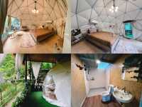 The Forest Camp เขาใหญ่