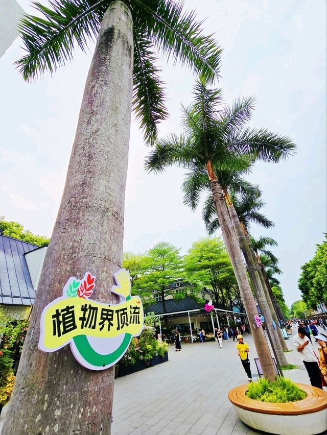 荷蘭風情花花世界