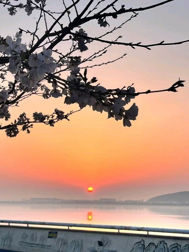 Beauty of hangzhou