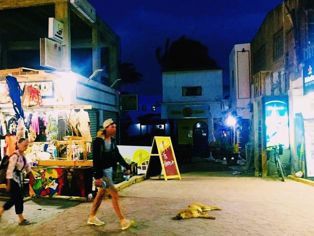 埃及著名旅遊城市達哈卜旅行攻略，適合打卡拍照📸