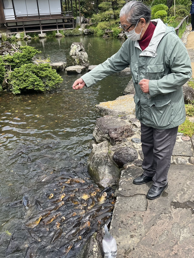 日本四國