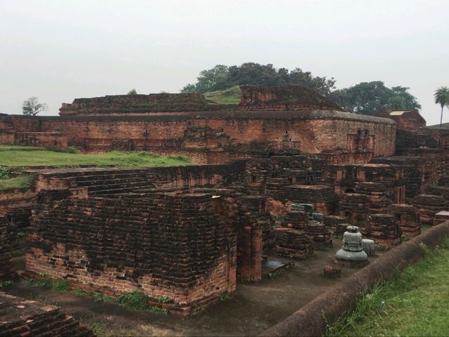 🇮🇳 世上第一所大學+祇園精舍