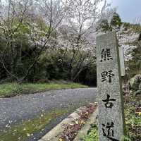 🇯🇵【熊野古道】紀伊路　世界遺産🌎