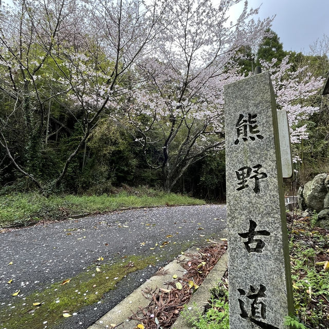 🇯🇵【熊野古道】紀伊路　世界遺産🌎