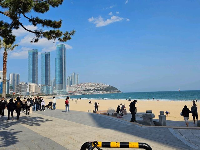 부산의 1박 2일 여행 계획 세우기 도움되길!