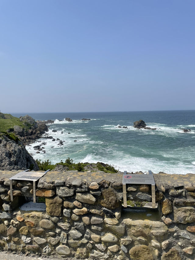 【青森× 葦毛崎展望台】美しい海岸線、激しい波、海の景色が見られます！