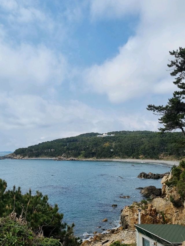 날씨 좋은 날 산책 장소로 딱, 대왕암 공원🌳