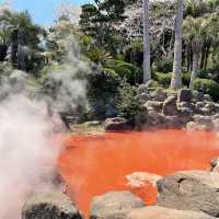 Beppu – Hot Spring Paradise 