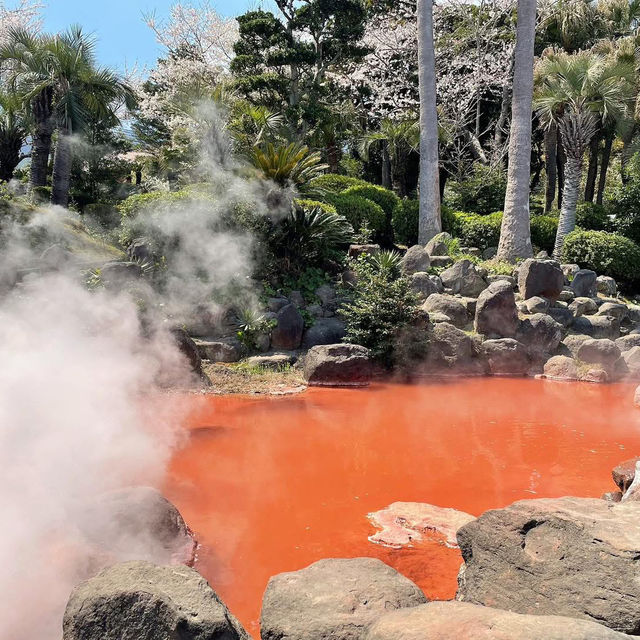 Beppu – Hot Spring Paradise 