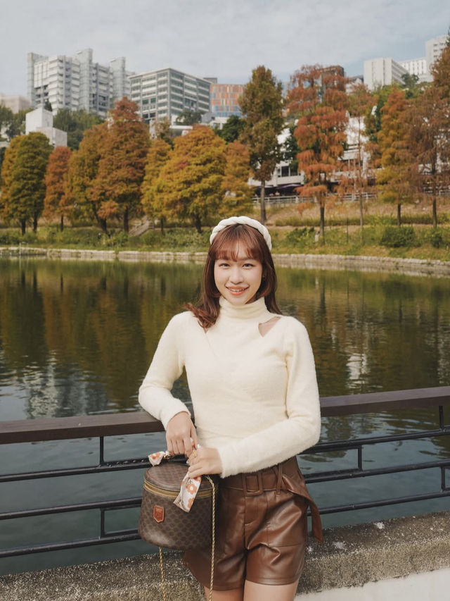 香港🇭🇰中文大學落羽松秘境🍂