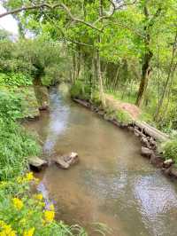 Maotian Mountain: A Family-Friendly Hidden Gem