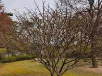 木槿花公園/舍廊房
