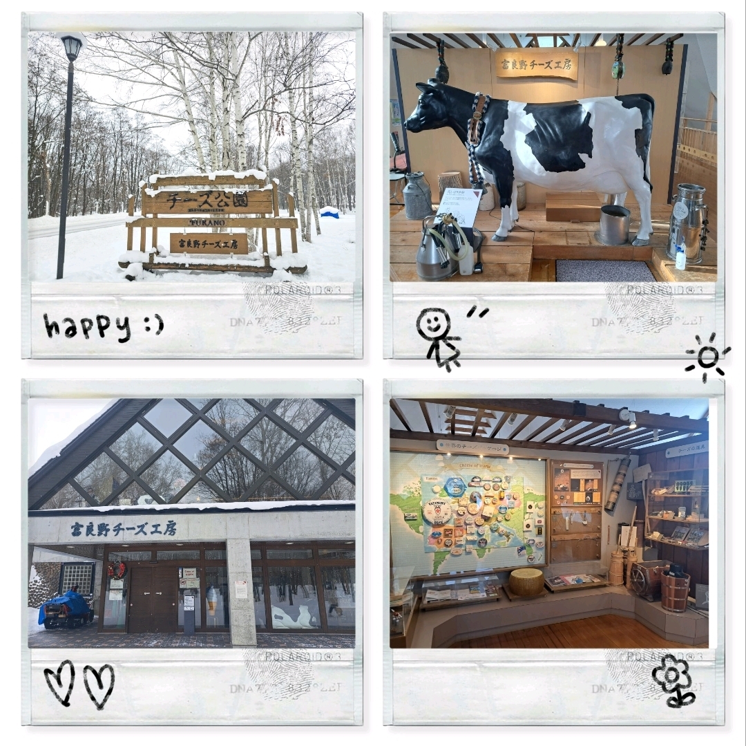 Du lịch Hokkaido🥳Nhà máy phô mai Furano😍Thưởng thức các sản phẩm phô mai, sữa và kem nổi tiếng nhất🧀