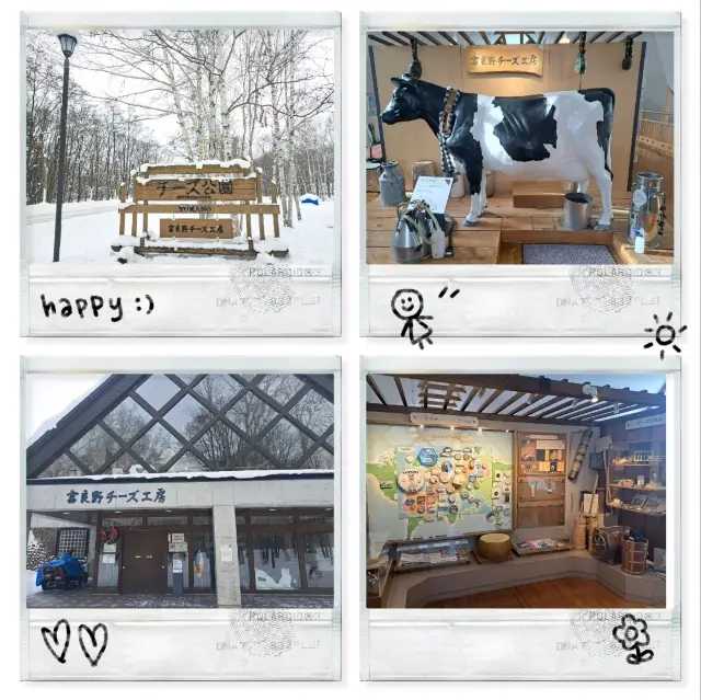 北海道旅遊🥳富良野起司工房😍品嚐出產最馳名的起司牛奶奶油類食品🧀